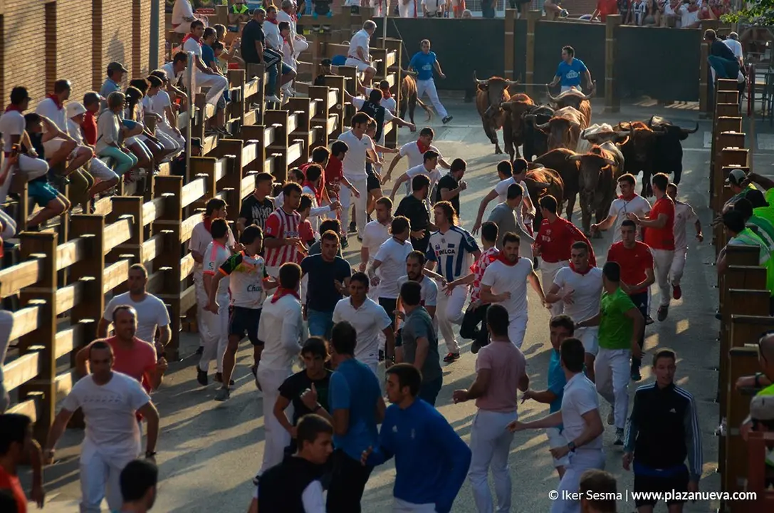 Encierro y vaquillas d&iacute;a 27 - 4