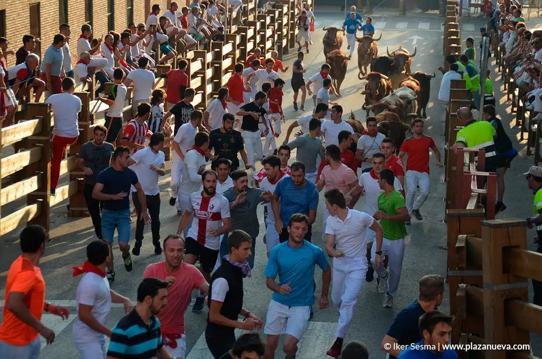Encierro y vaquillas d&iacute;a 27 - 7