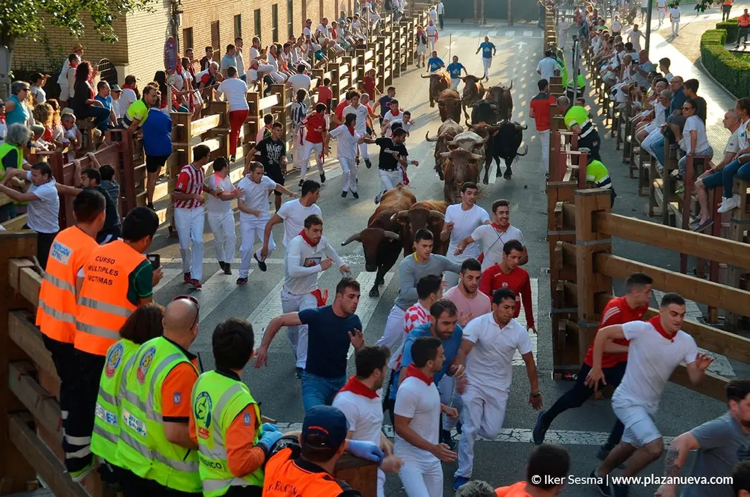 Encierro y vaquillas d&iacute;a 27 - 11