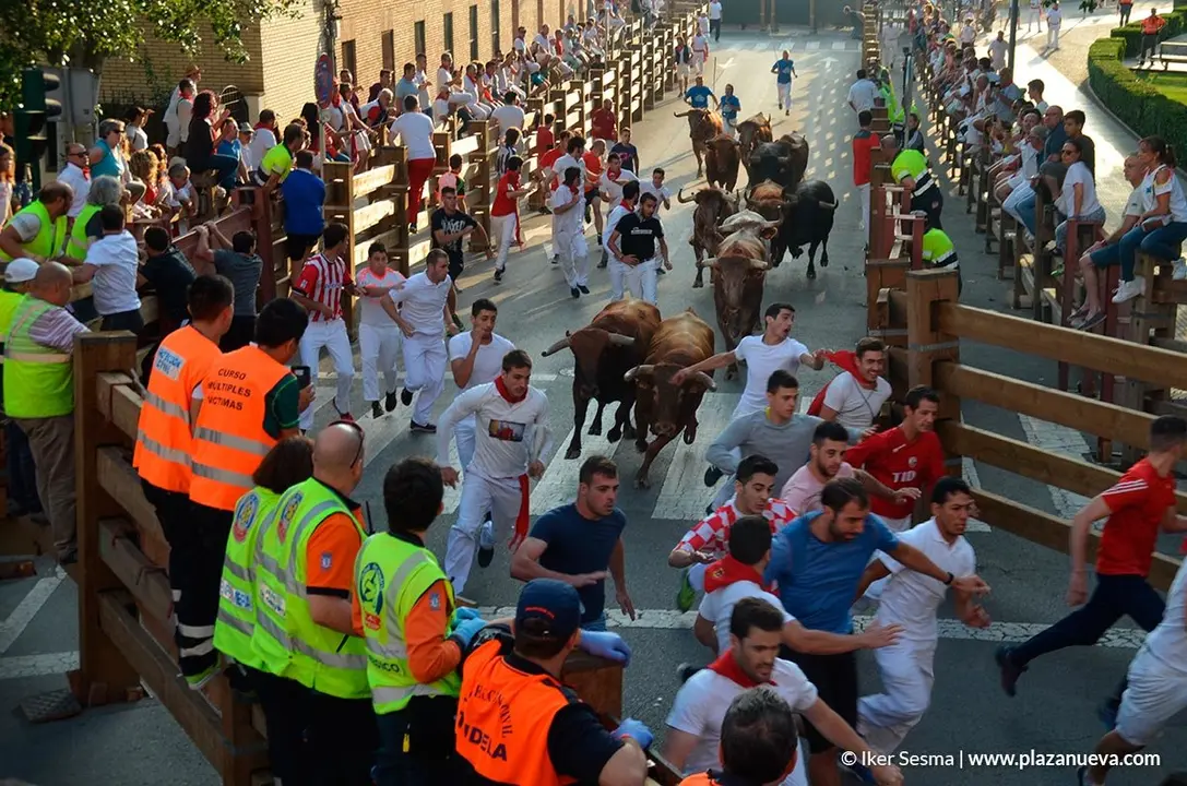 Encierro y vaquillas d&iacute;a 27 - 12