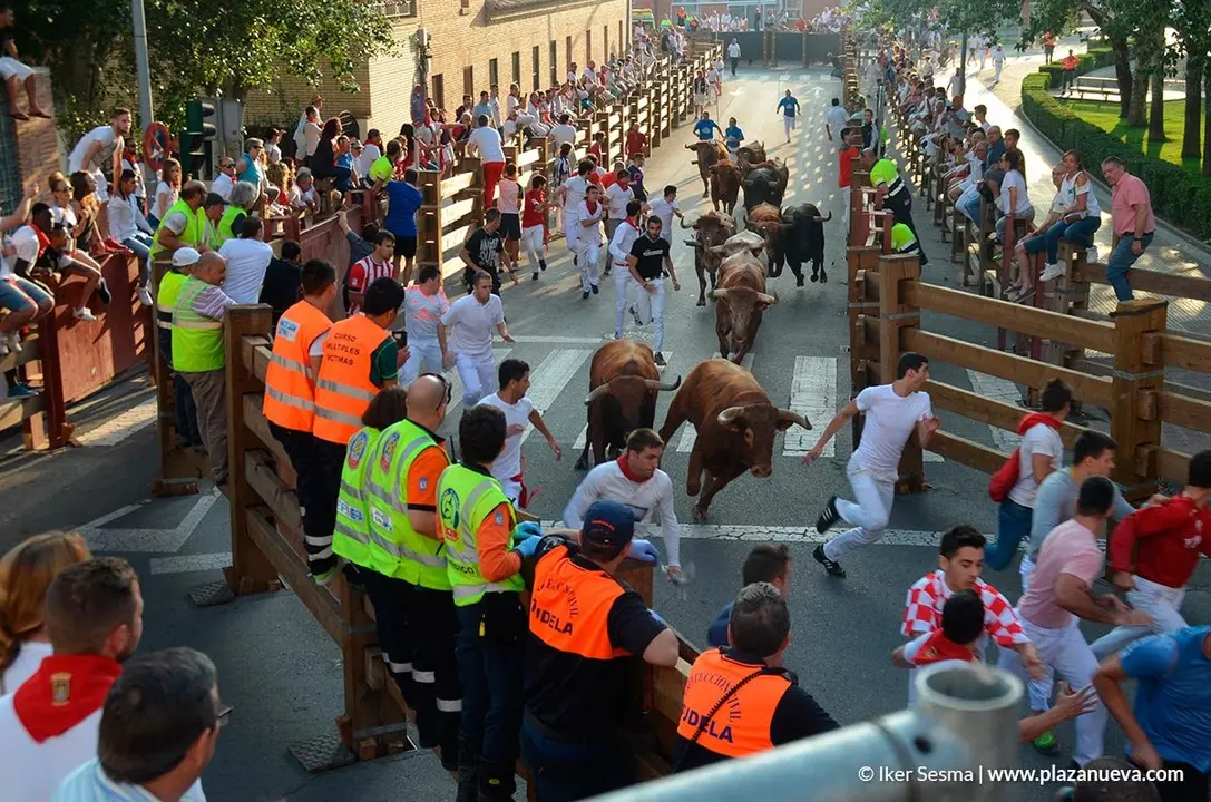 Encierro y vaquillas d&iacute;a 27 - 14
