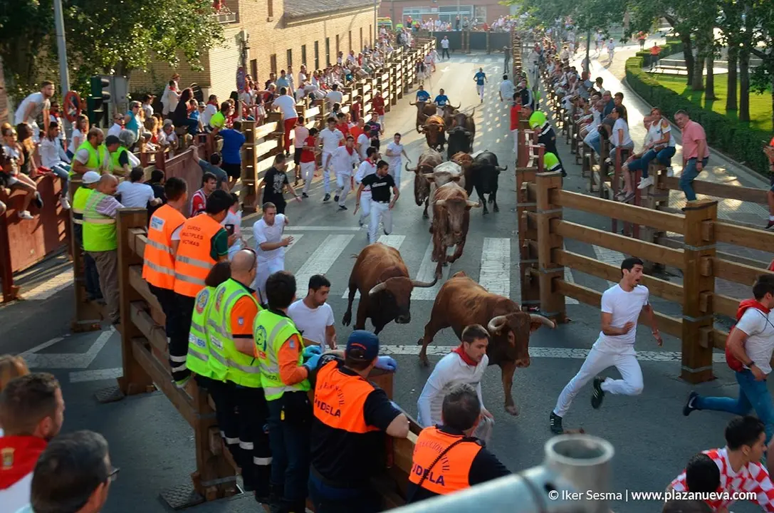 Encierro y vaquillas d&iacute;a 27 - 15
