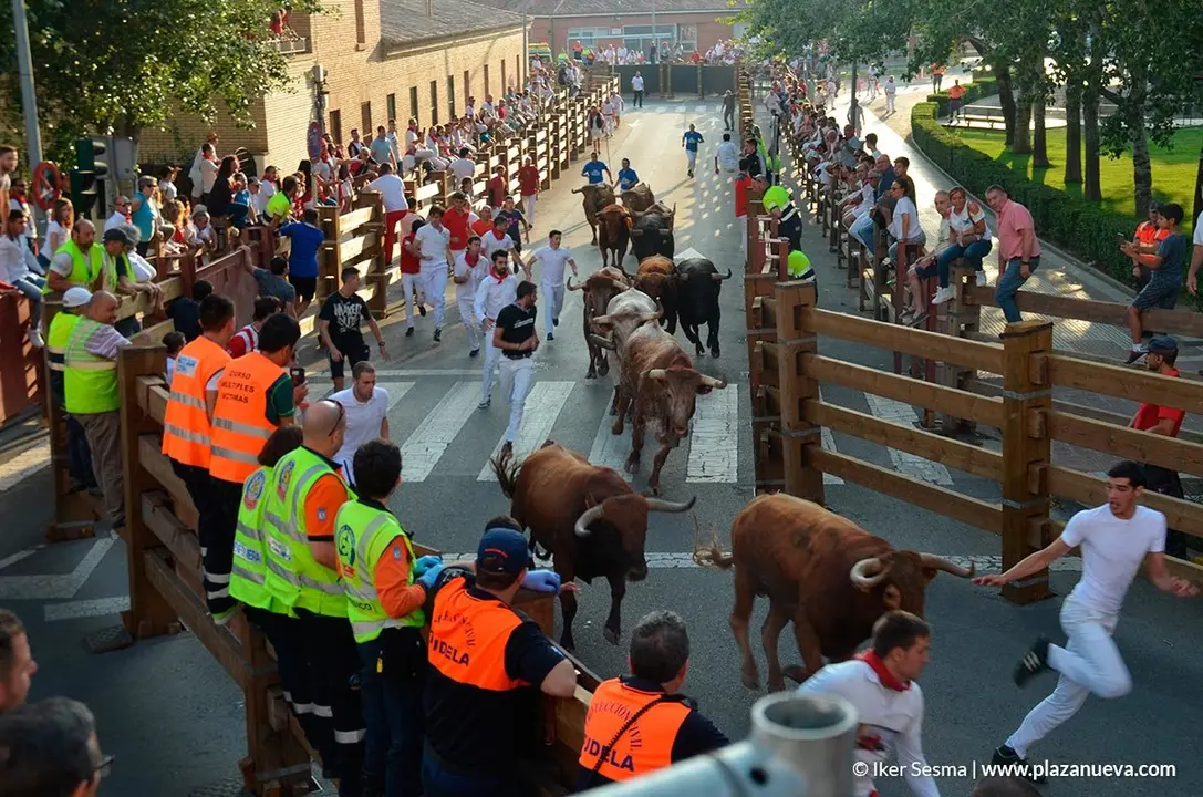 Encierro y vaquillas d&iacute;a 27 - 16