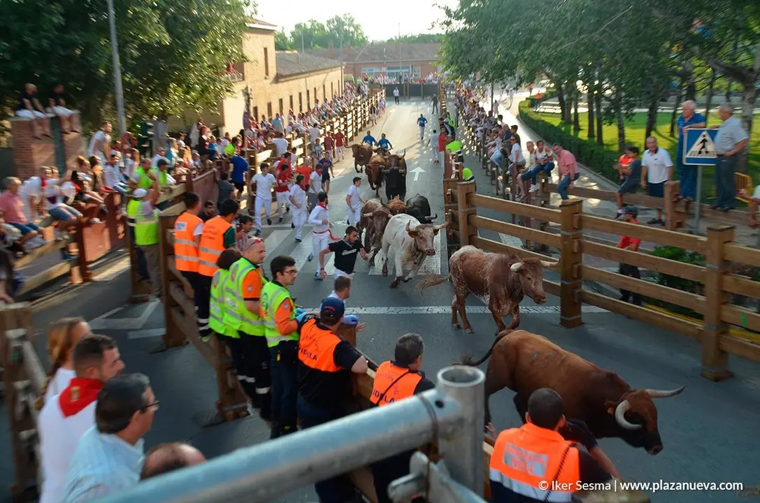 Encierro y vaquillas d&iacute;a 27 - 17