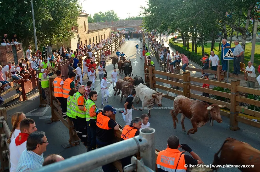Encierro y vaquillas d&iacute;a 27 - 18