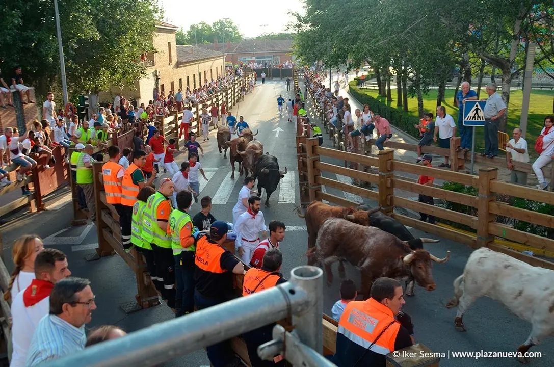 Encierro y vaquillas d&iacute;a 27 - 19