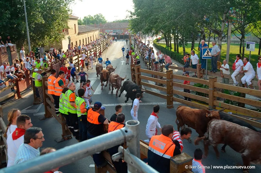 Encierro y vaquillas d&iacute;a 27 - 20