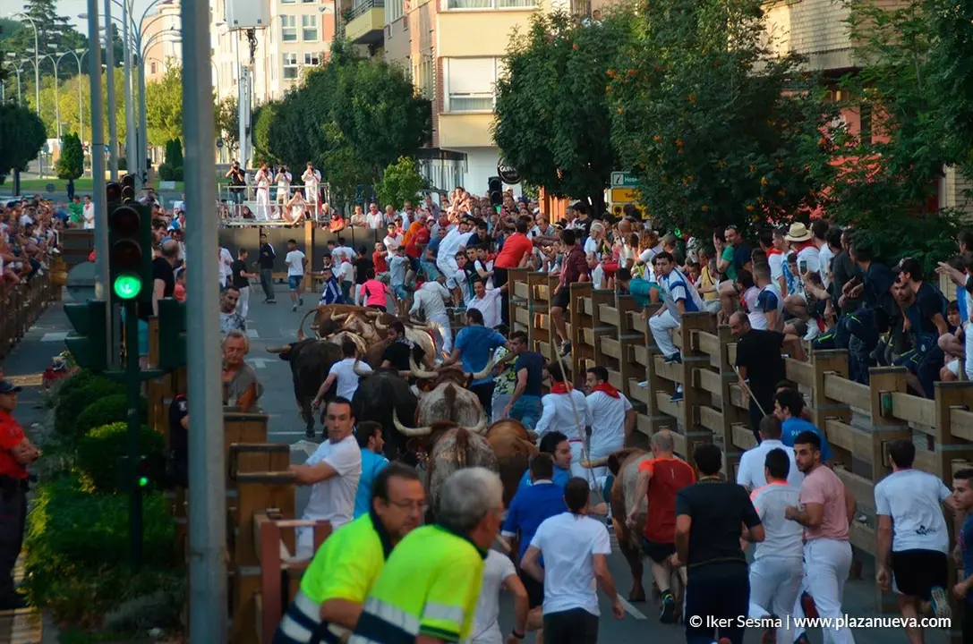 Encierro y vaquillas d&iacute;a 27 - 24