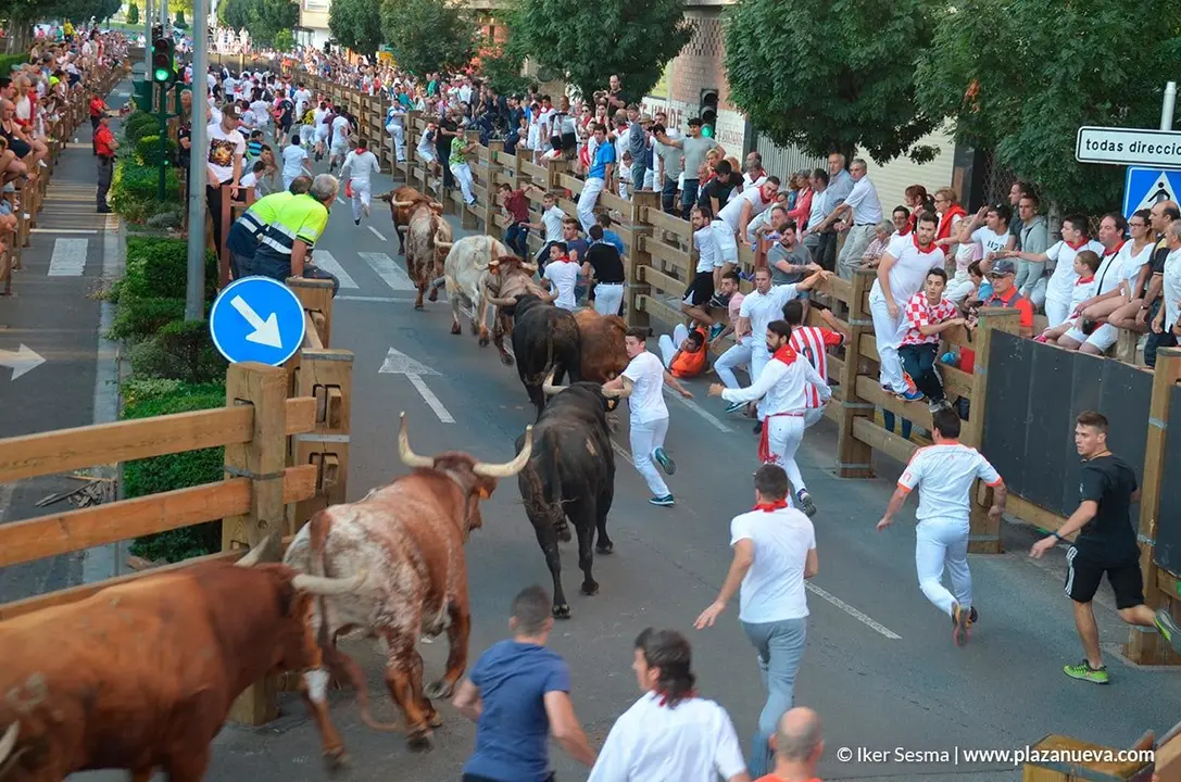 Encierro y vaquillas d&iacute;a 27 - 23