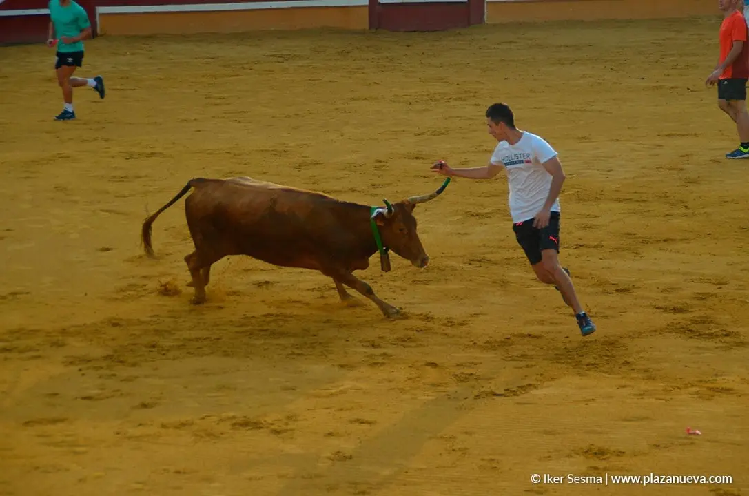Encierro y vaquillas d&iacute;a 27 - 26