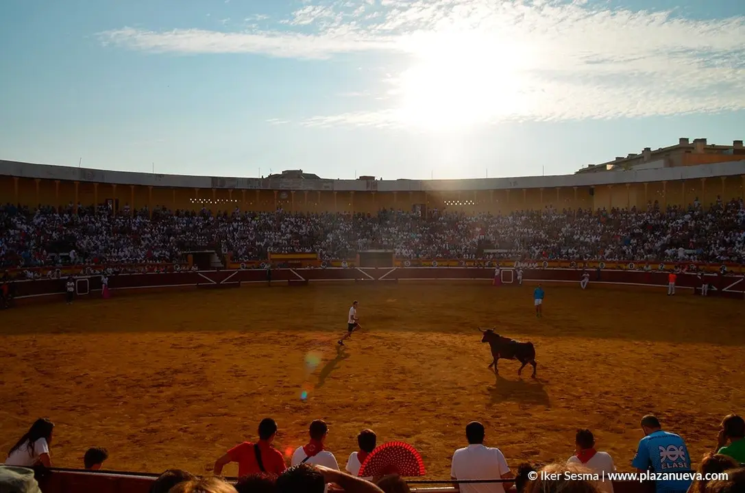 Encierro y vaquillas d&iacute;a 27 - 27