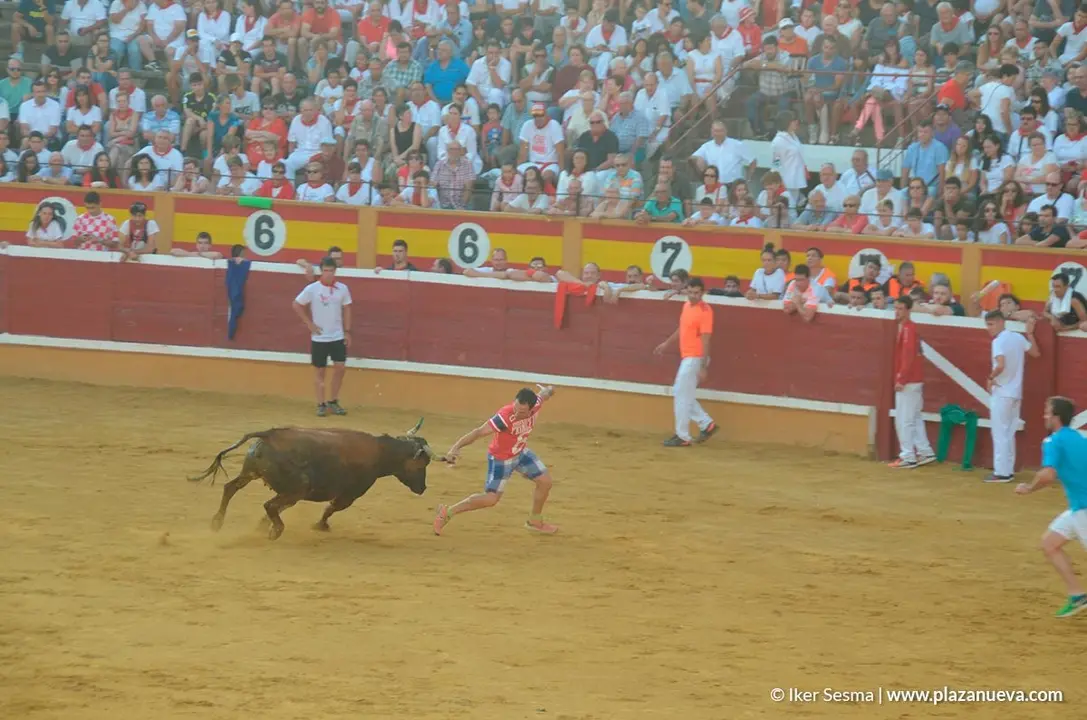 Encierro y vaquillas d&iacute;a 27 - 28