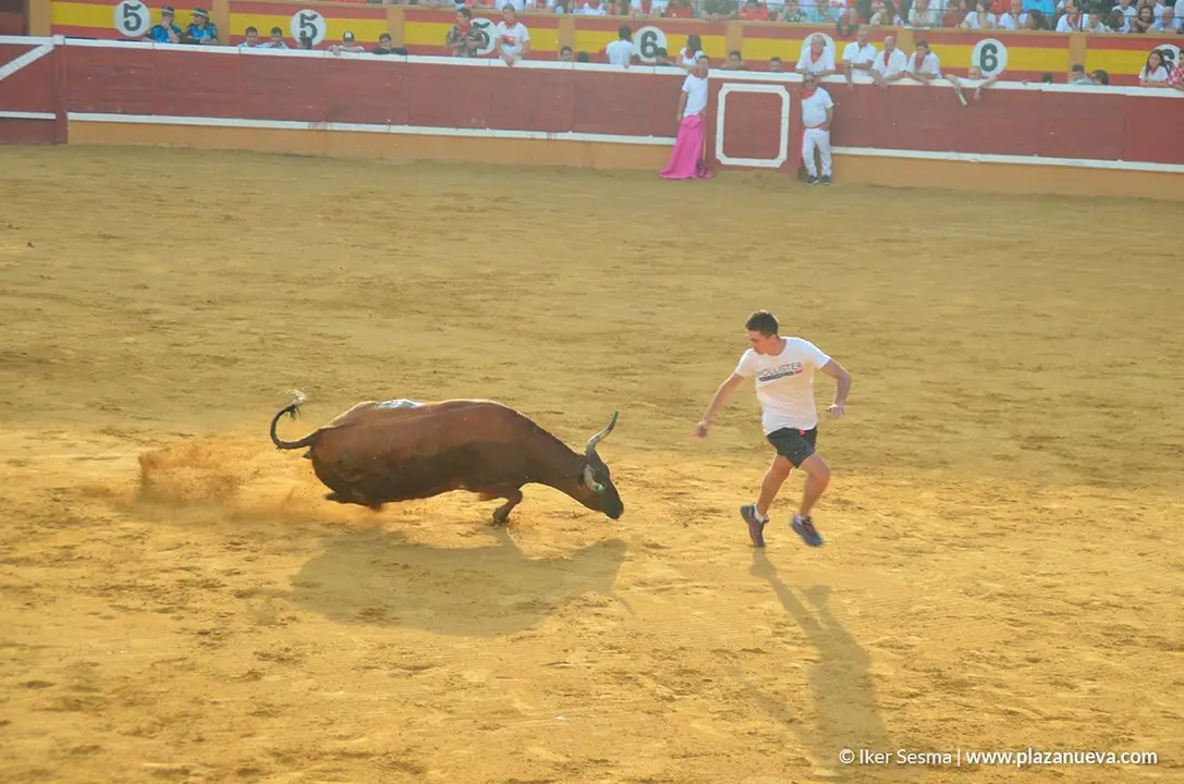 Encierro y vaquillas d&iacute;a 27 - 29
