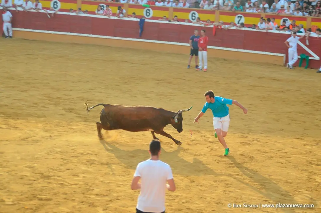 Encierro y vaquillas d&iacute;a 27 - 30