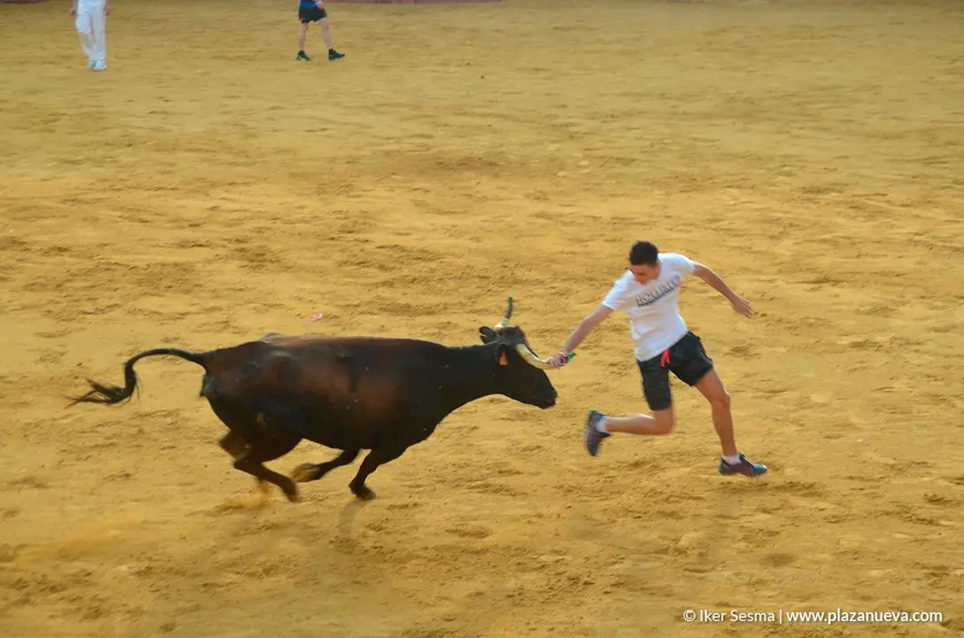 Encierro y vaquillas d&iacute;a 27 - 31