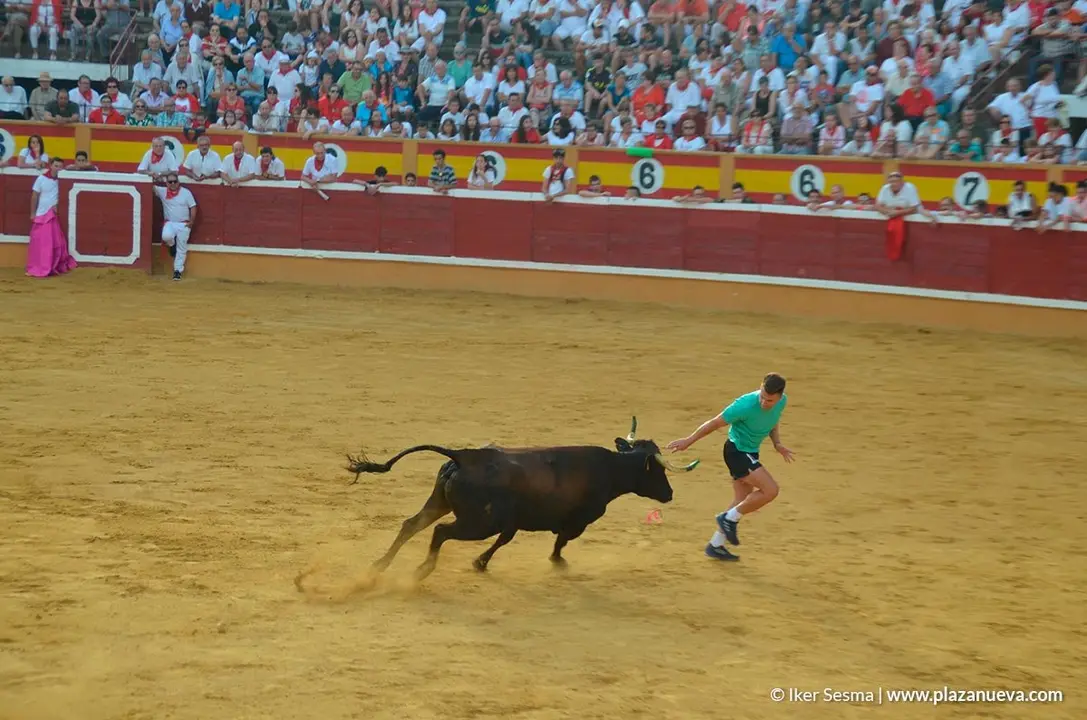 Encierro y vaquillas d&iacute;a 27 - 32