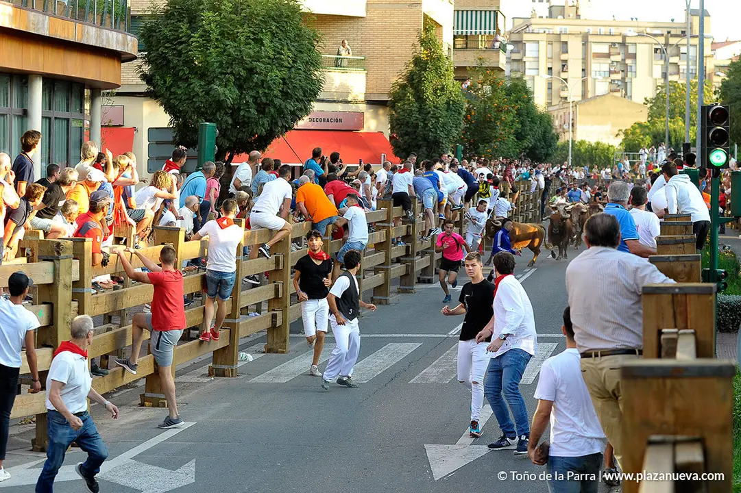 180727_FIESTAS01_59402