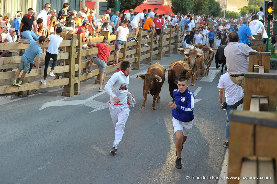 180727_FIESTAS01_59411