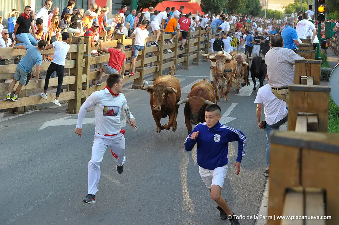 180727_FIESTAS01_59413