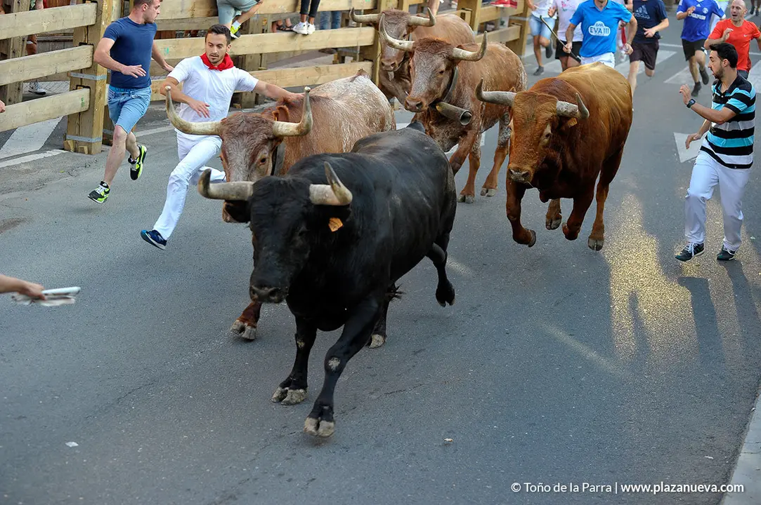 180727_FIESTAS01_59428