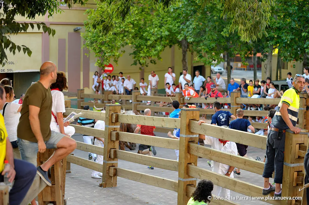 180727_FIESTAS01_59433