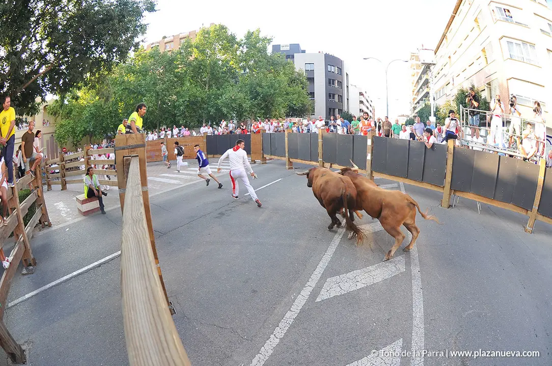 180727_FIESTAS01_59440_774