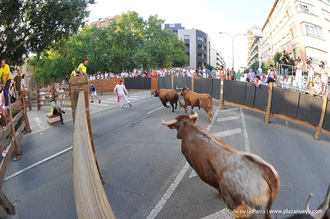 180727_FIESTAS01_59440_775