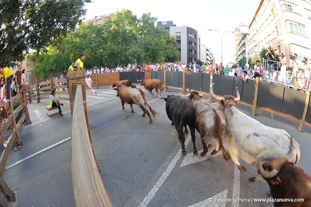 180727_FIESTAS01_59440_779