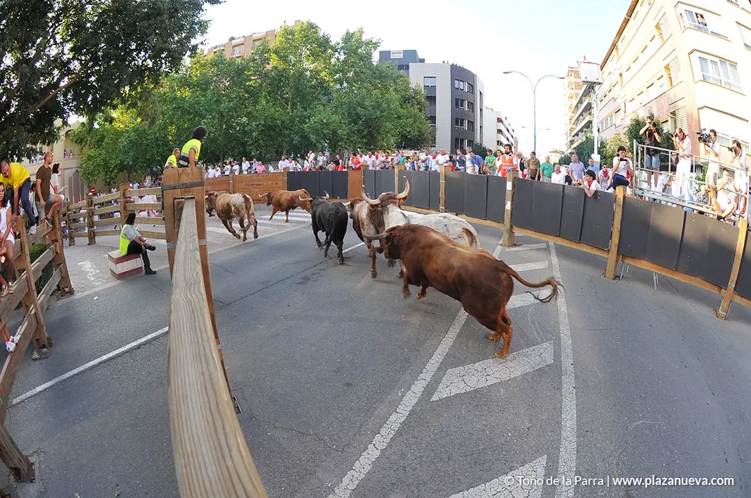 180727_FIESTAS01_59440_783