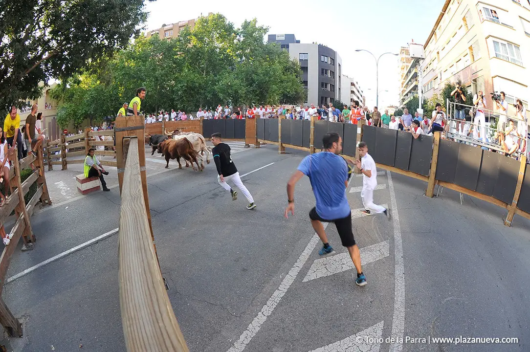 180727_FIESTAS01_59440_786