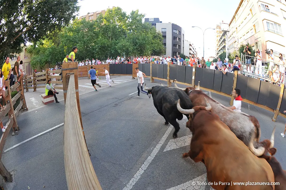180727_FIESTAS01_59440_789