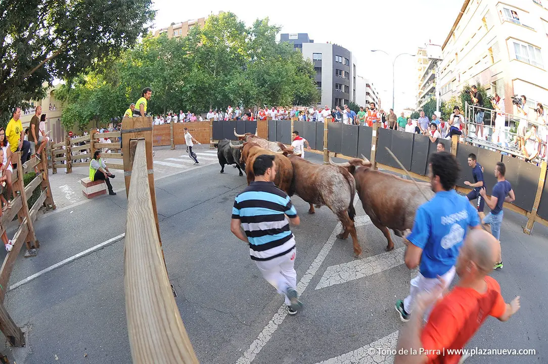 180727_FIESTAS01_59440_793