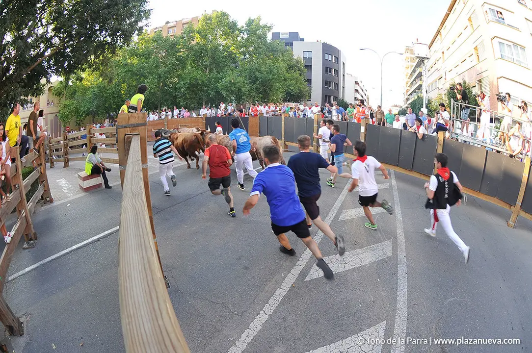 180727_FIESTAS01_59440_796