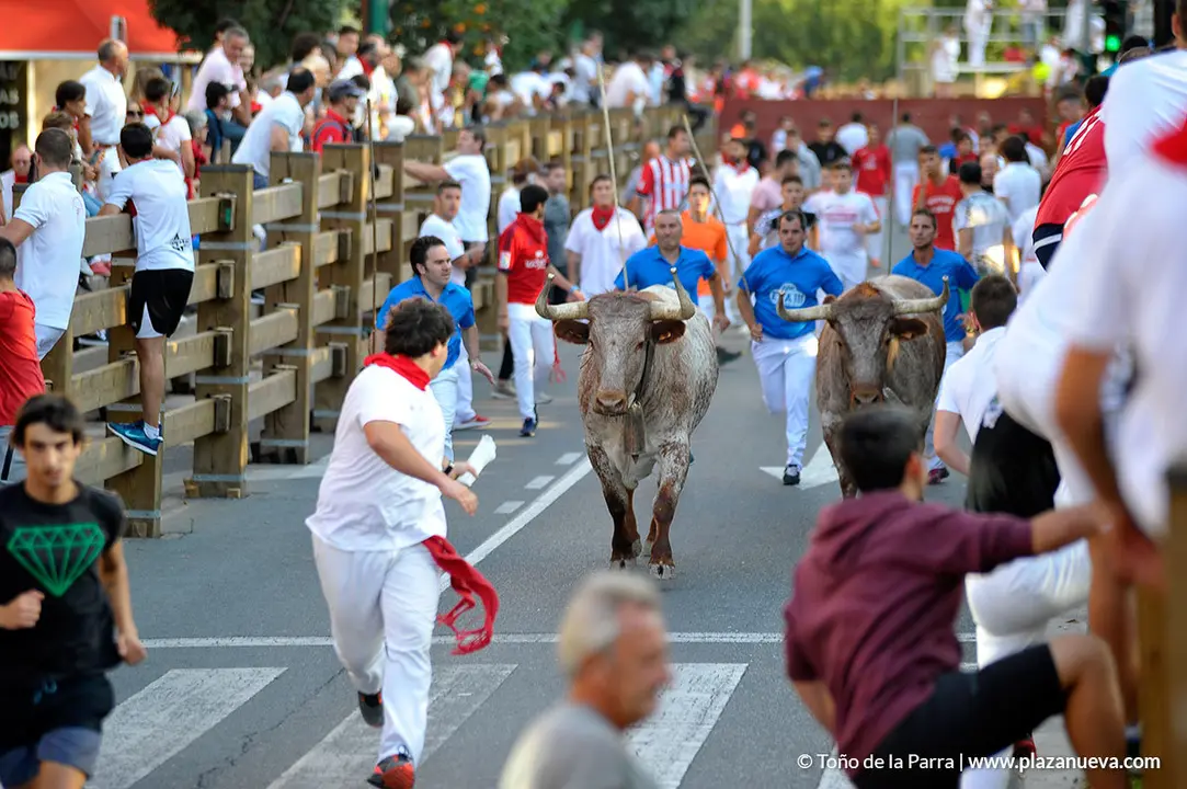 180727_FIESTAS01_59450