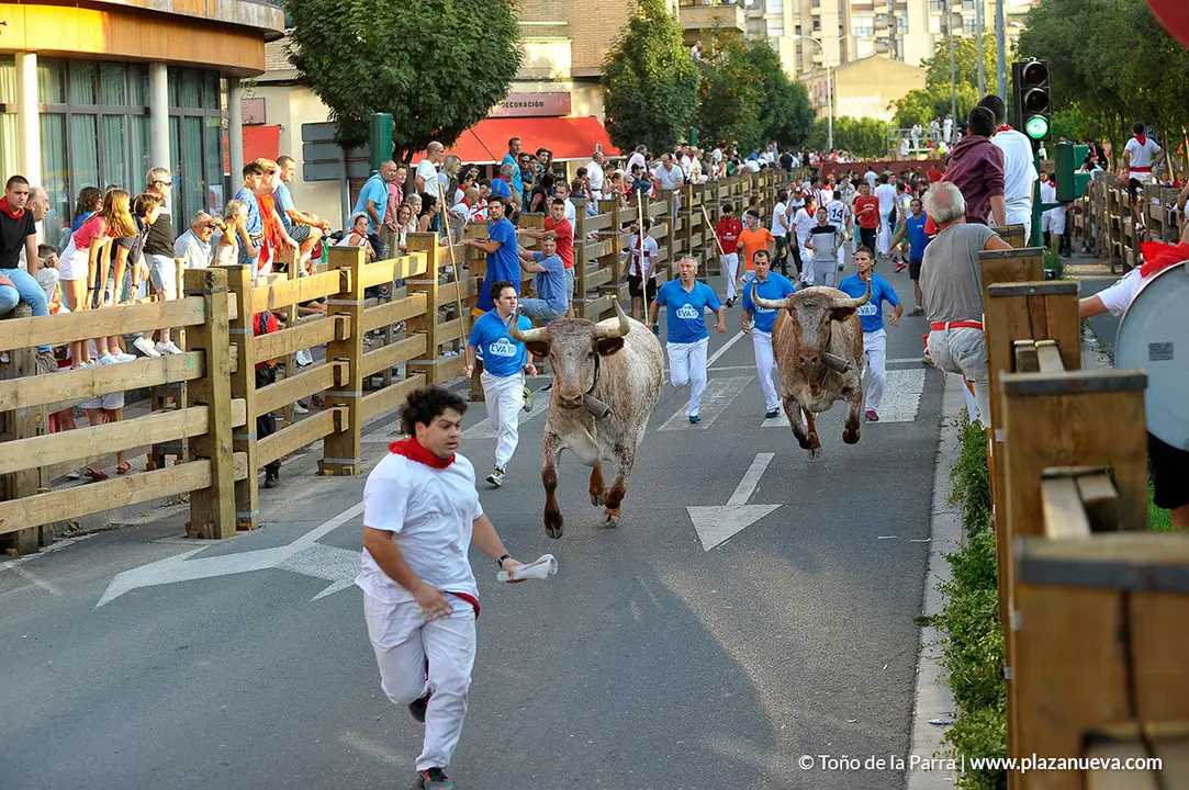 180727_FIESTAS01_59455