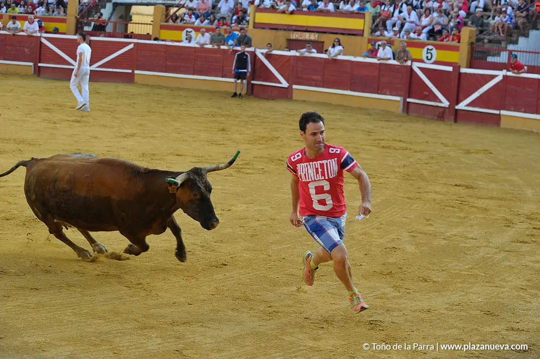 180727_FIESTAS01_59469