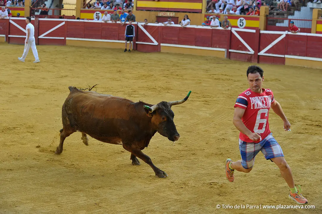 180727_FIESTAS01_59470