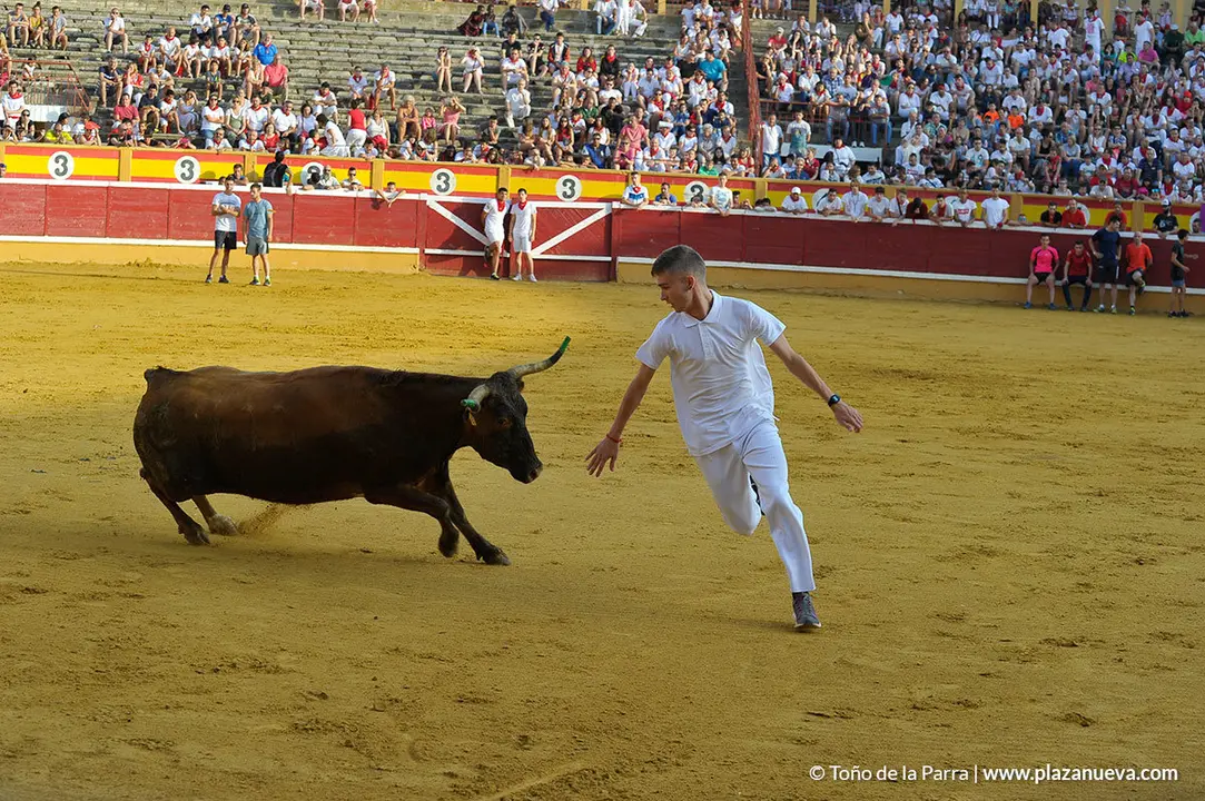 180727_FIESTAS01_59473