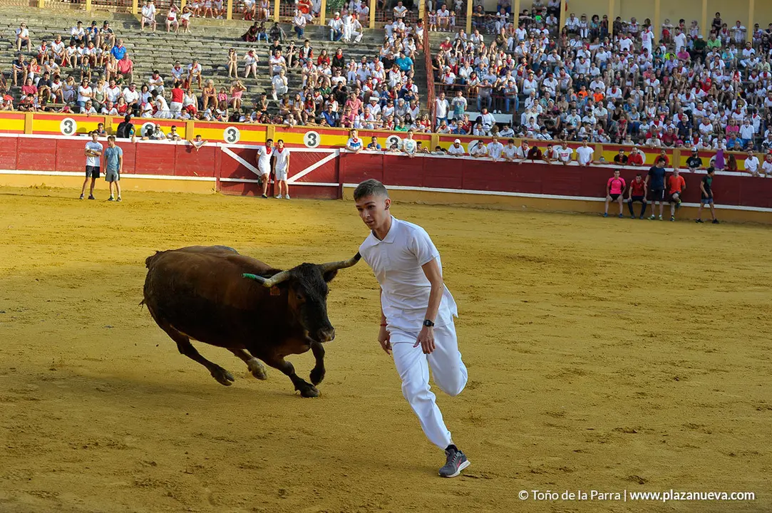 180727_FIESTAS01_59475