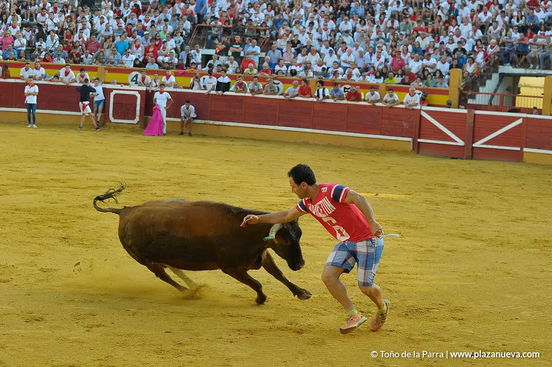 180727_FIESTAS01_59480