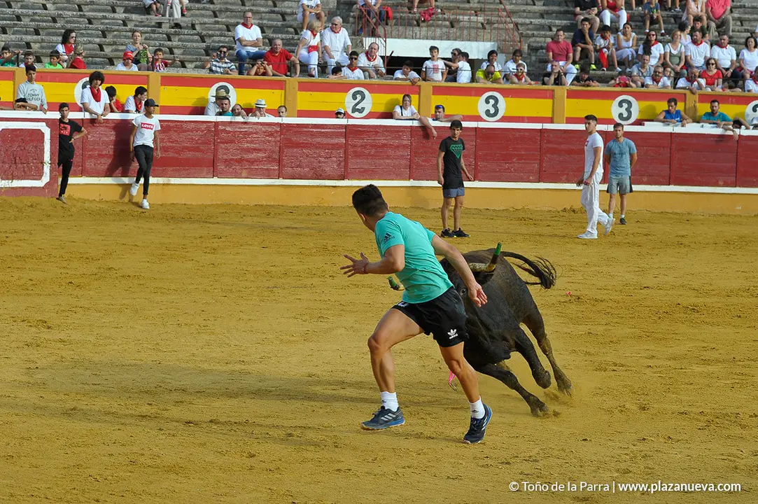 180727_FIESTAS01_59527