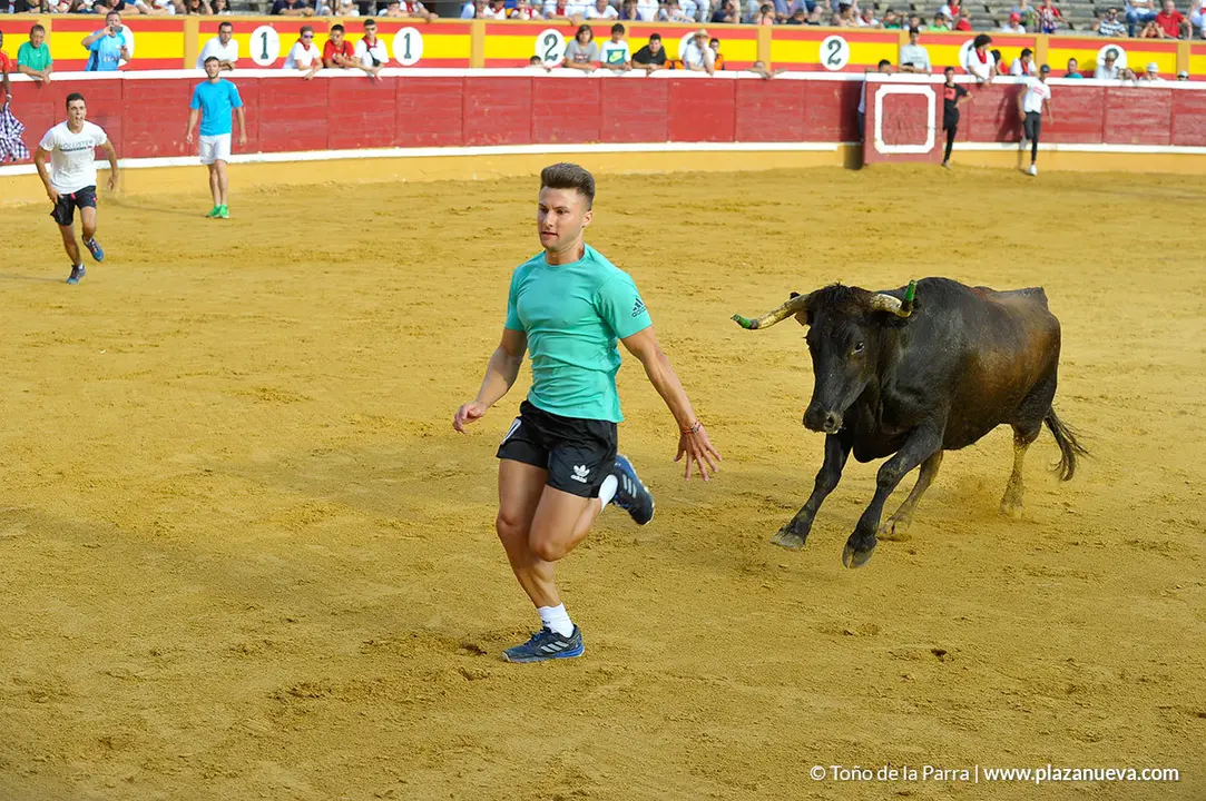 180727_FIESTAS01_59531