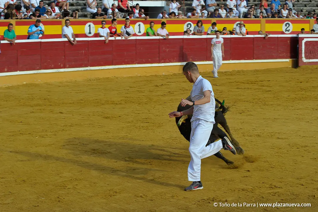 180727_FIESTAS01_59532
