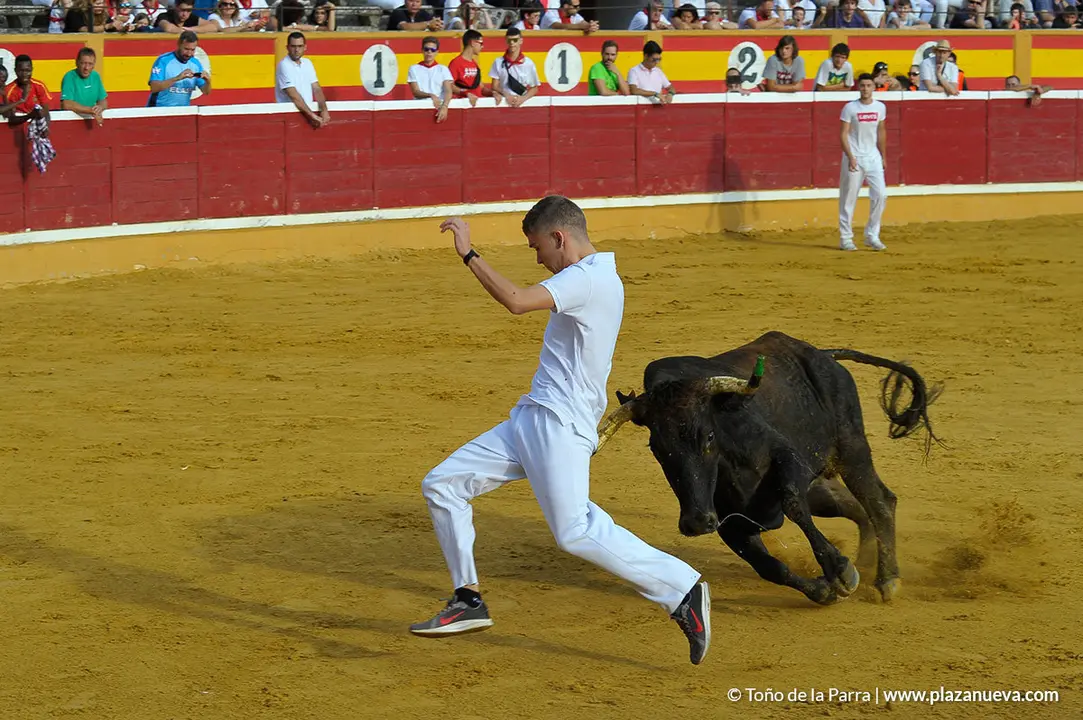 180727_FIESTAS01_59533