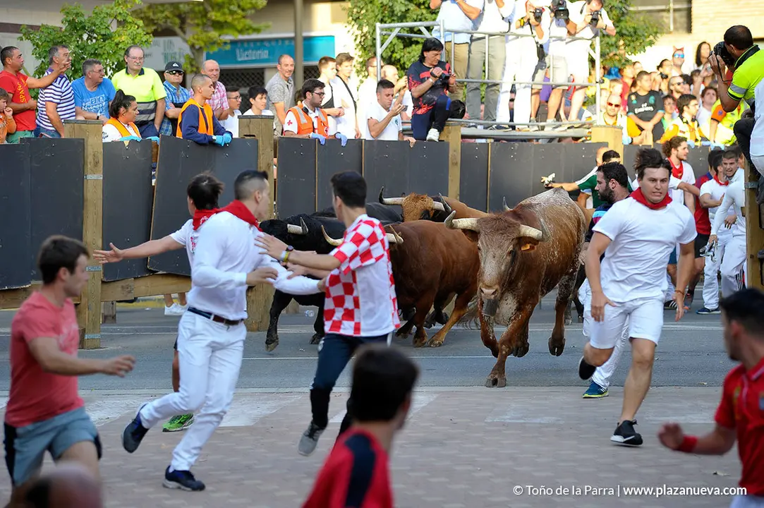 180728_FIESTAS01_60313