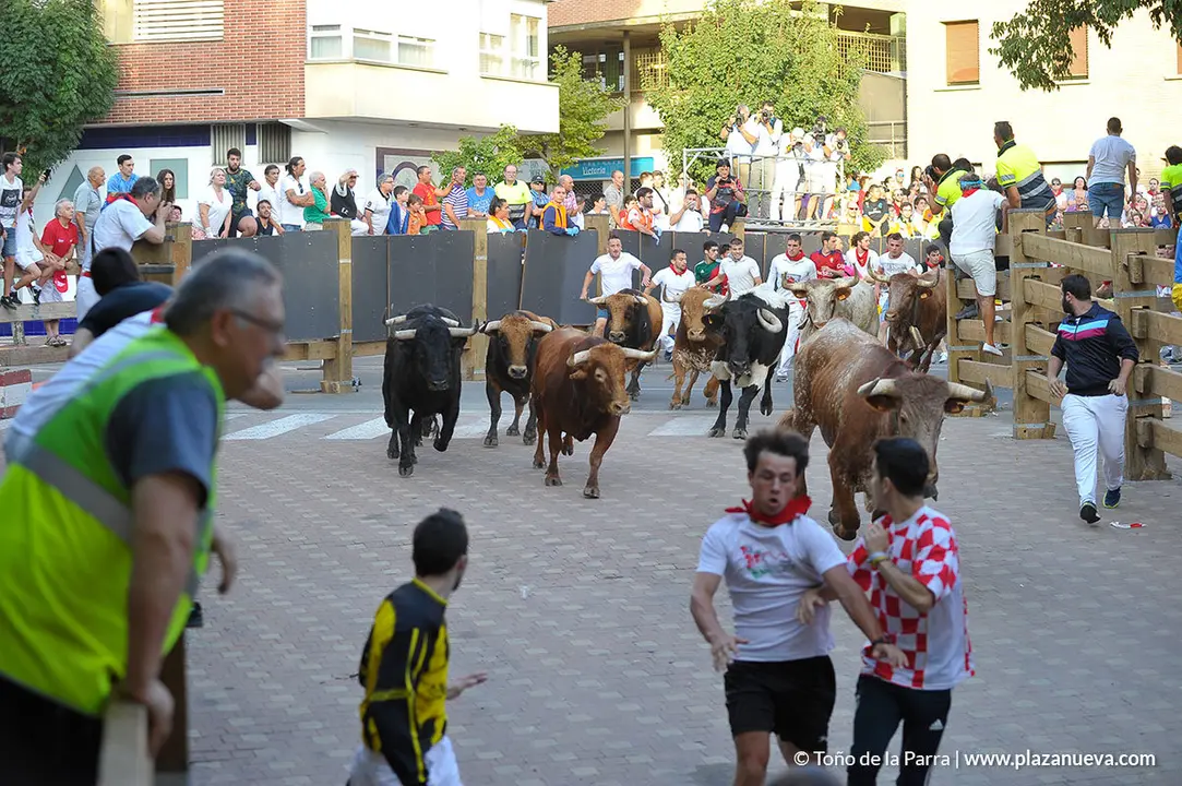 180728_FIESTAS01_60317