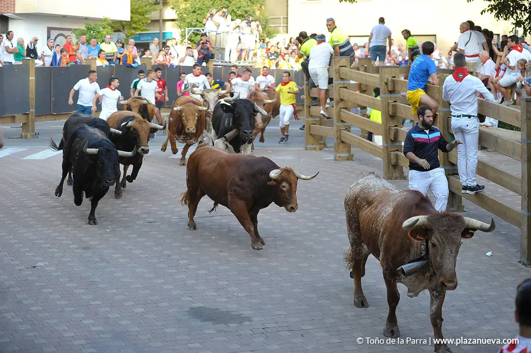 180728_FIESTAS01_60319