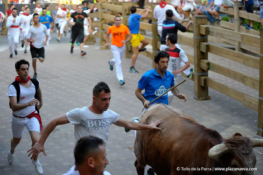 180728_FIESTAS01_60329