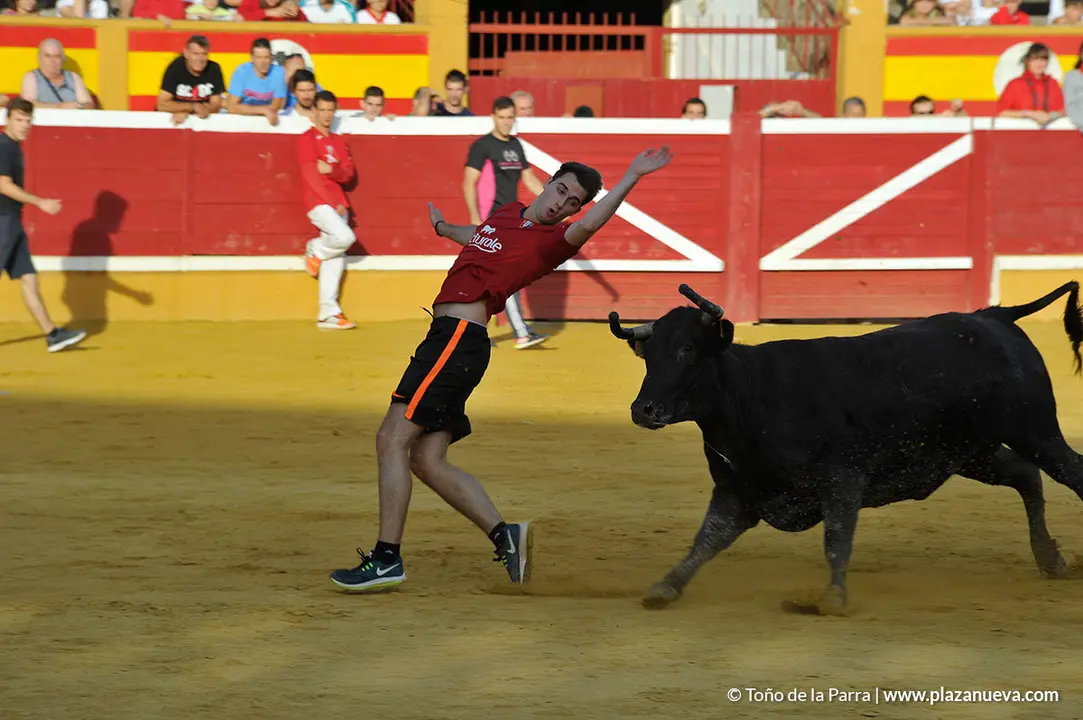 180728_FIESTAS01_60355
