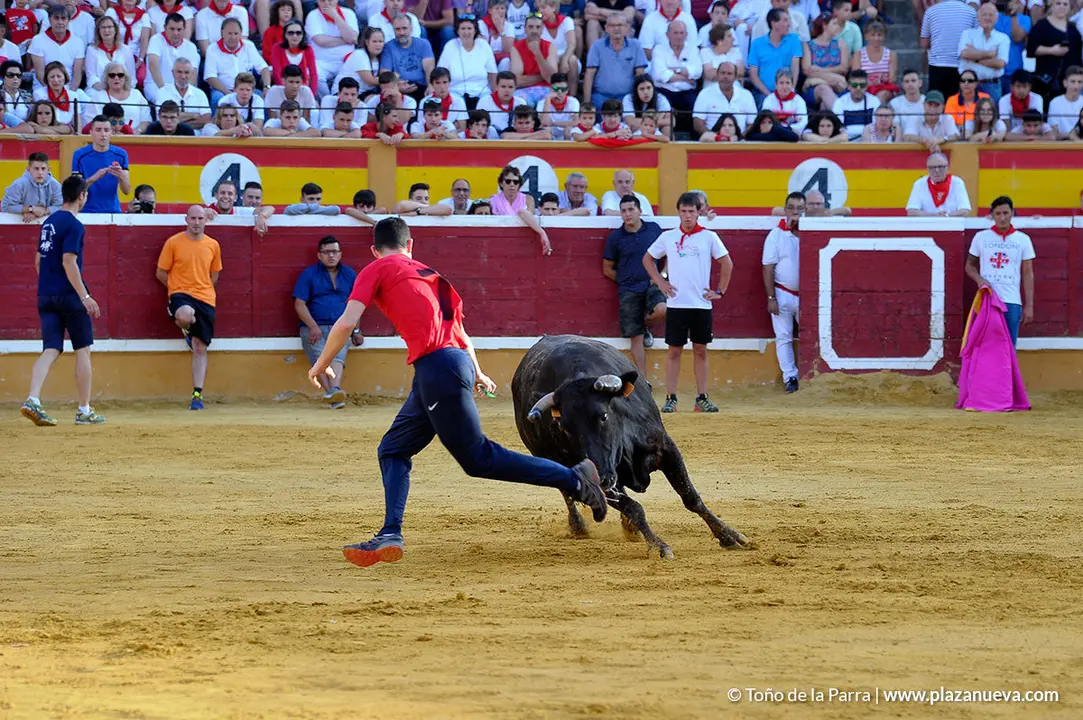 180728_FIESTAS01_60378